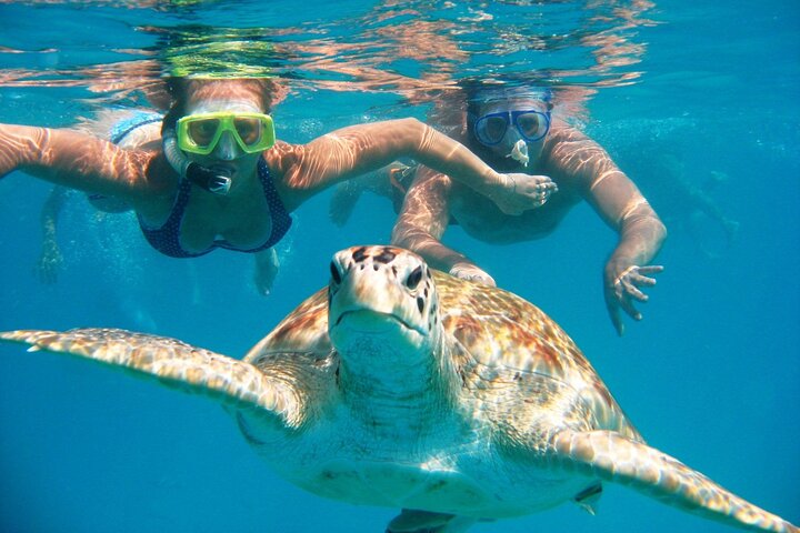 رحلات مرسي علم - مصر